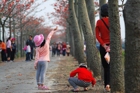 還記得這首兒時歌嗎?