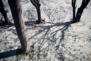 雲林縣虎尾鎮－虎尾高中