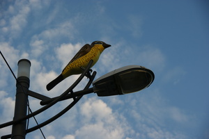 屏東縣枋山鄉-路燈