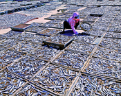 產業與人文組_03_林碧貴_曬魚乾