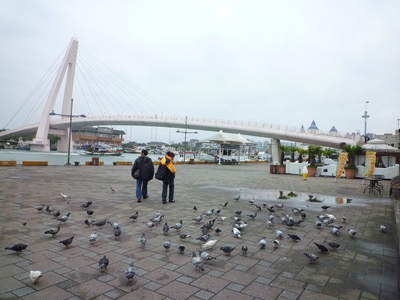 海島人---地景與生態