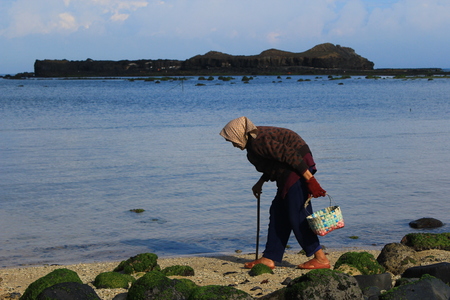 海島人─產業與人文