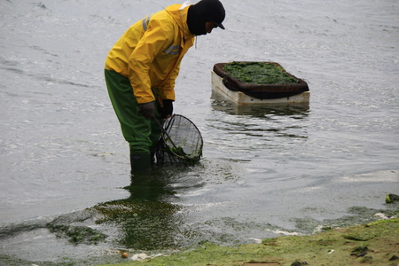 海島人─產業與人文