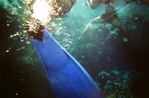 找到藍色的童年