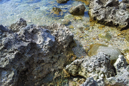 海島人─地景與生態