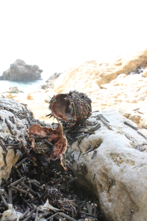 海島人-地景與生態