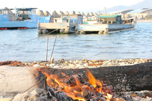 地景與生態組_蔣岳桐_01_敬鬼神