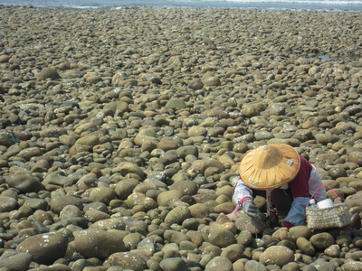海島人-產業與人文