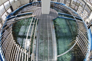 海洋產業-珊瑚培育