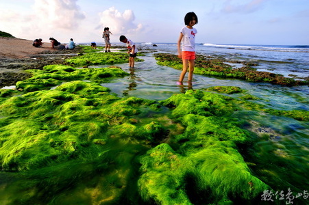海島人－地景與生態