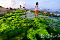 地景與生態組_黃慈真_03_潮間帶尋寶