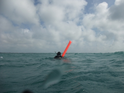 海島人─產業與人文