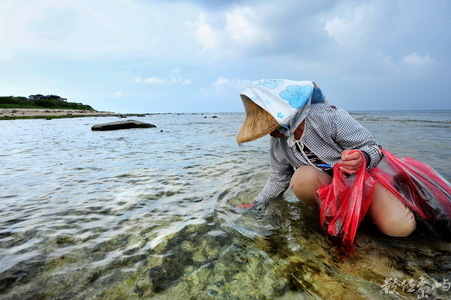海島人－產業與人文