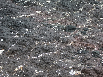 海島人─地景與生態