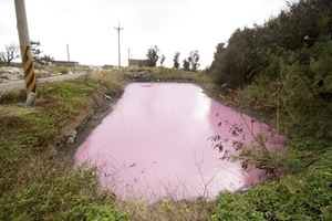 奇特星球之粉紅眼淚