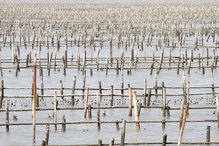 海島人─地景與生態