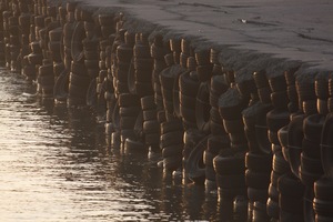 輪胎構成的海岸線