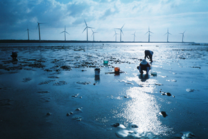 產業與人文組__黄嘉慶__03__鈀