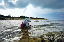 產業與人文組_黃慈真_01_撿海菜