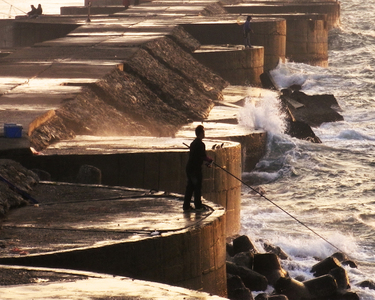 海島人─產業與人文