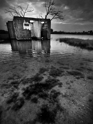 海島人-地景與生態