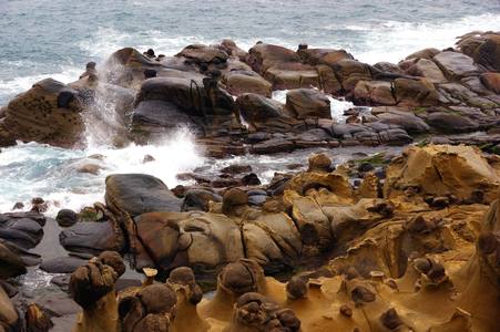 海島人-地景與生態