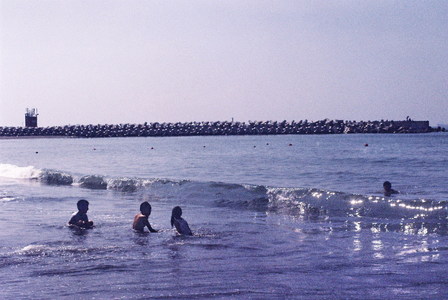 海島人-產業與人文