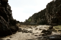 龍坑高位珊瑚礁