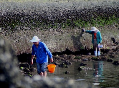 海島人─產業與人文