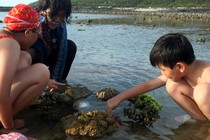 產業與人文組-陳麗芬--03-阿嬤給阿孫上的校外教學