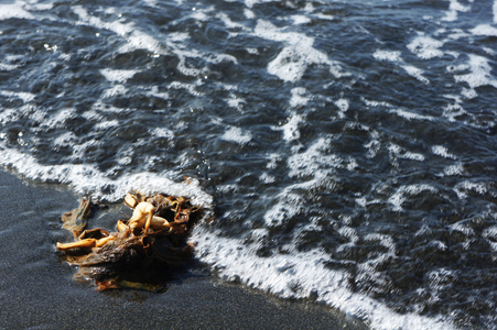 海島人─地景與生態