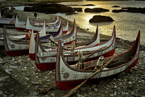 晨光中的拼板舟