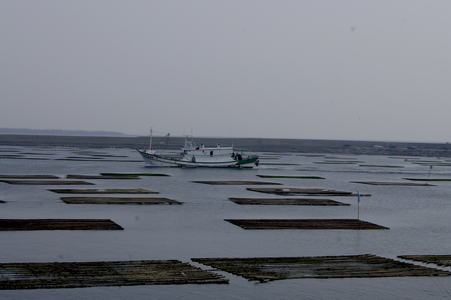 海島人─地景與生態