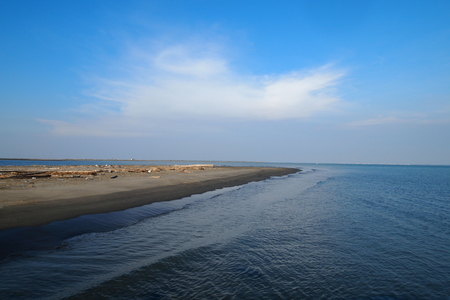 海島人