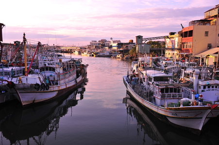 海島人-地景與生態