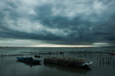海島人─產業與人文
