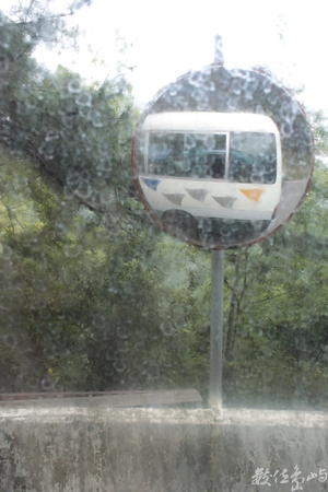 尋找島嶼台灣的龍貓公車