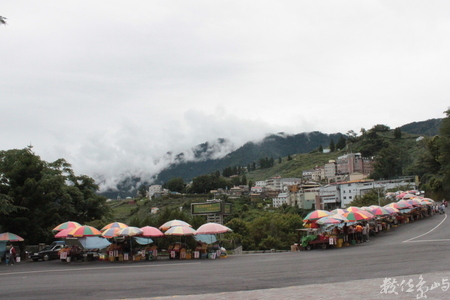 尋找島嶼台灣的龍貓公車