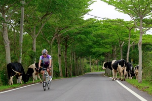 台東縣．縣道197