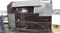 鄭家古厝的 屋頂...02