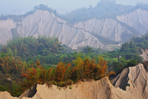 臺南市左鎮區－草山之美