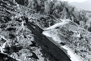 嘉義縣阿里山鄉--二萬坪崩塌面