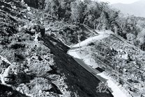 嘉義縣阿里山鄉--二萬坪崩塌面