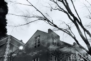 嘉義縣阿里山鄉--山中旅店