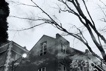 嘉義縣阿里山鄉--山中旅店