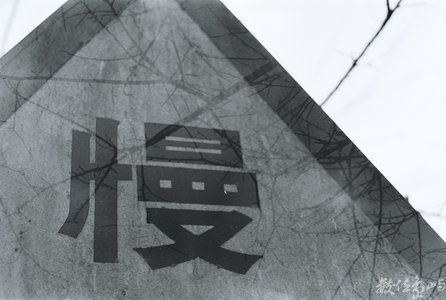台灣拼圖