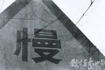 嘉義縣阿里山鄉--慢