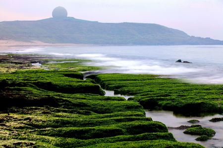 海島人─地景與生態