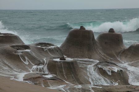 海島人─地景與生態