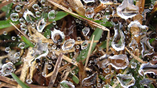 海島人-地景與生態